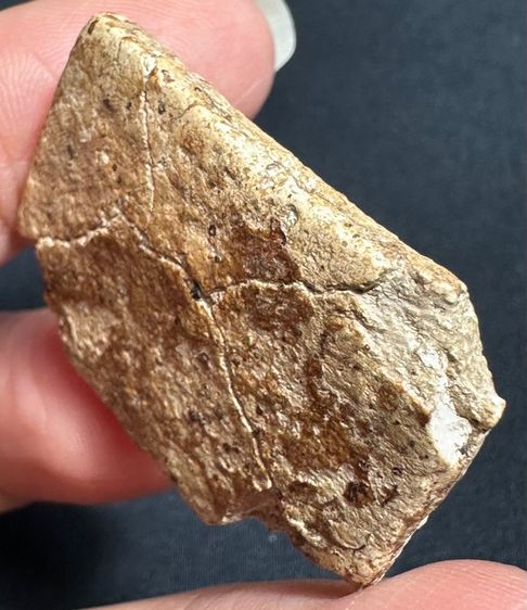 🙏พระสมเด็จบางขุนพรหมปรกโพธิ์🙏 รูปที่ 6