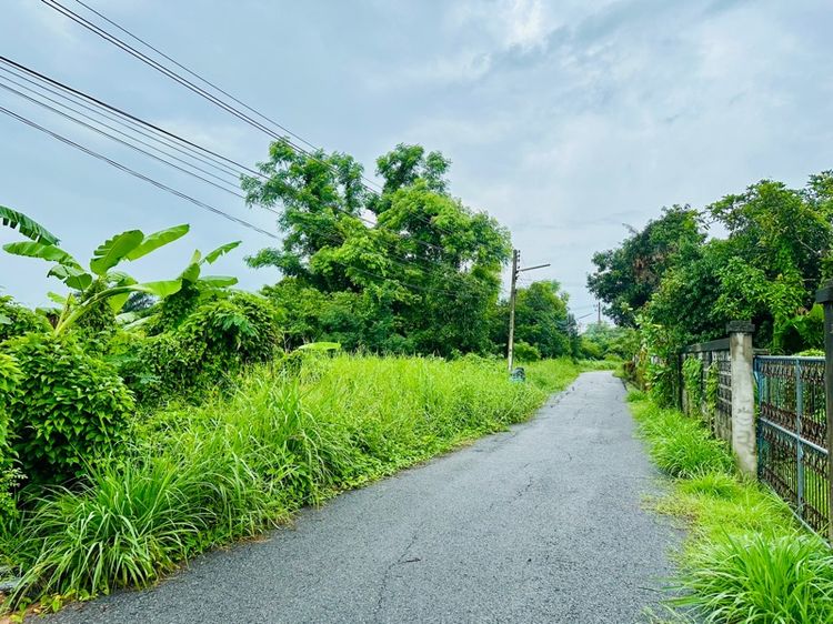 ที่ดิน200ตรว เมืองนครนายก รูปที่ 3