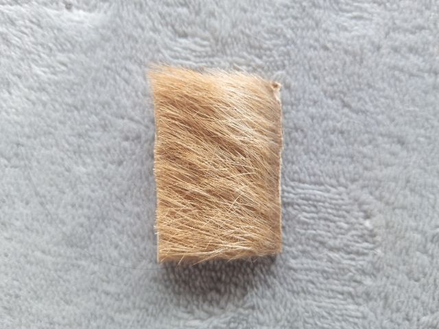 เครื่องรางไม่ทราบชนิด