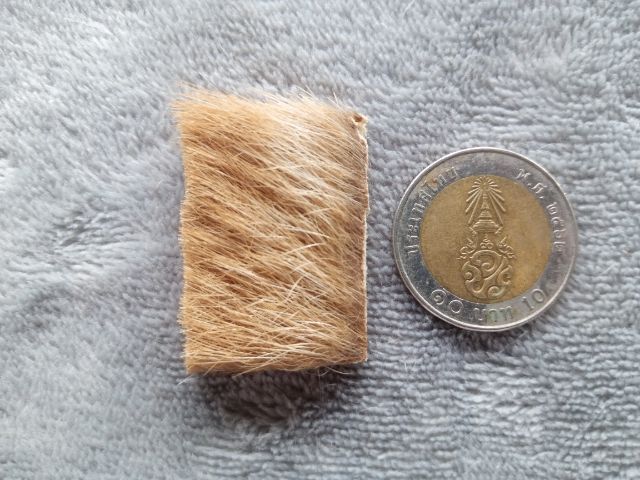 เครื่องรางไม่ทราบชนิด รูปที่ 8