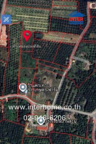 ไม่ใช่ ที่ดินเปล่า 4 ไร่ ที่ดิน ใกล้โรงเรียนบ้านละมุ จังหวัดชุมพร ถนนเพชรเกษม ถนนทางหลวงแผ่นดินหมายเลข360 ท่าแซะ ชุมพร รูปที่ 2