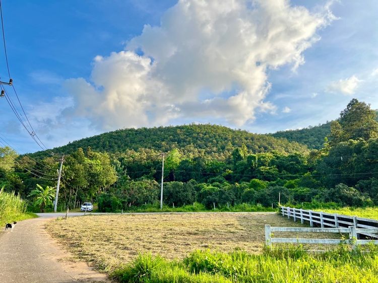 ไม่ใช่ ที่ดินเปล่า รูปที่ 2