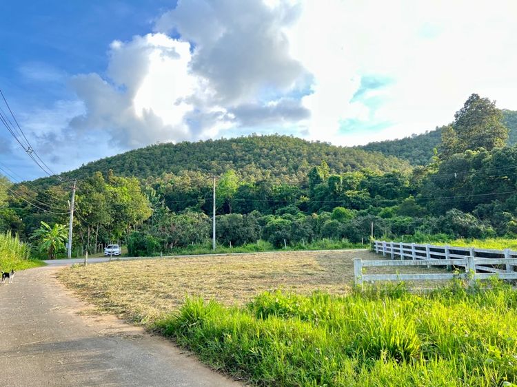 ไม่ใช่ ที่ดินเปล่า