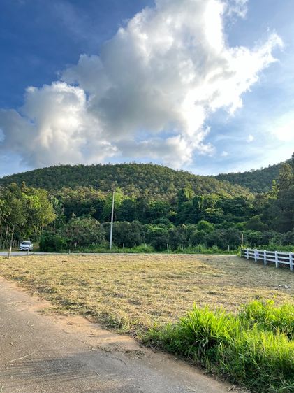 ไม่ใช่ ที่ดินเปล่า รูปที่ 4