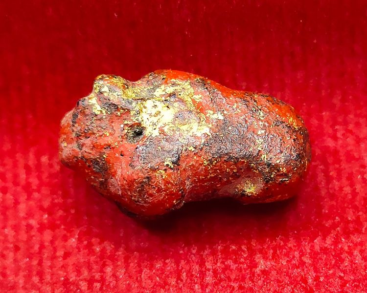 💟 วัวธนูจิ๋ว ครูบานันตา วัดทุ่งม่านใต้