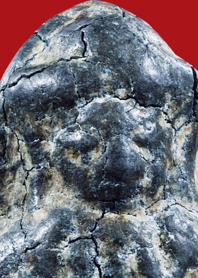 พระร่วงทรงเกราะ พิมพ์ใหญ่ หลังเรียบ กรุวัดพระปรางค์ ศรีสัชนาลัย สุโขทัย เนื้อชินเขียว เก่ามาก รูปที่ 9