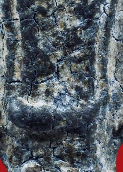 พระร่วงทรงเกราะ พิมพ์ใหญ่ หลังเรียบ กรุวัดพระปรางค์ ศรีสัชนาลัย สุโขทัย เนื้อชินเขียว เก่ามาก รูปที่ 4