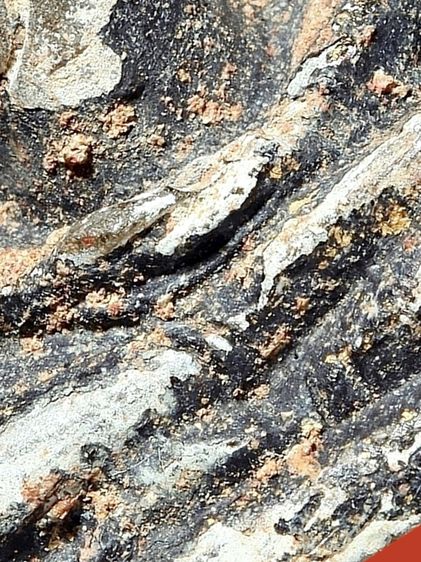 ให้เช่า พระบ้านในตำนาน หายากที่สุด พระแก้วกรุฮอด แห่งอาณาจักรล้านนา พิมพ์พระพุทธ  วรรณะเหลือง รูปที่ 11