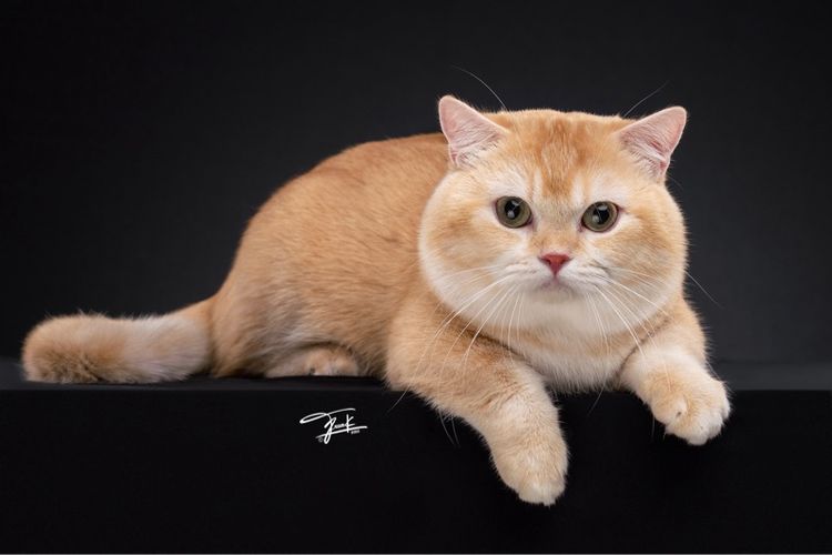 พ่อพันธุ์มันช์กิ้น รับทับถึงบ้านสาว รูปที่ 3