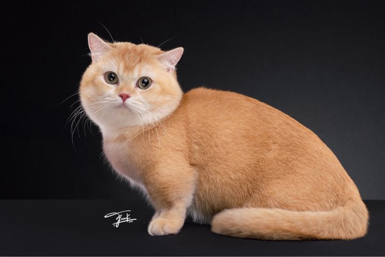 พ่อพันธุ์มันช์กิ้น รับทับถึงบ้านสาว รูปที่ 4