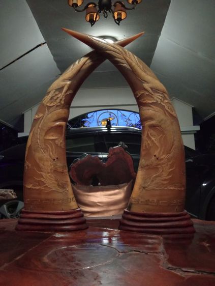 เขาเผือกทองแกะสลักมังกรฐานไม้สัก1 คู่ขนาดใหญ่สภาพเยี่ยม รูปที่ 3