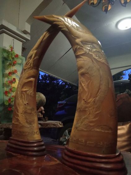 เขาเผือกทองแกะสลักมังกรฐานไม้สัก1 คู่ขนาดใหญ่สภาพเยี่ยม รูปที่ 10