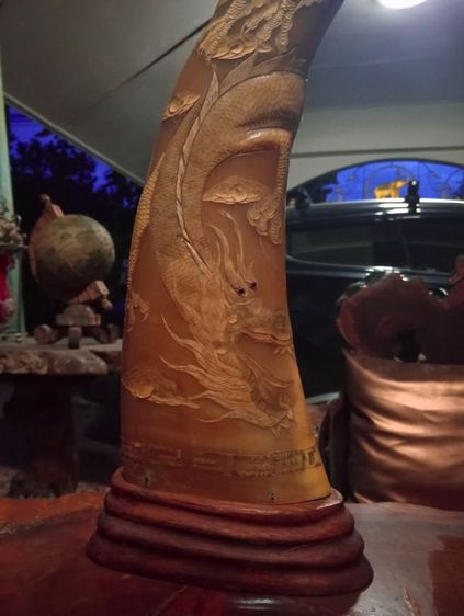 เขาเผือกทองแกะสลักมังกรฐานไม้สัก1 คู่ขนาดใหญ่สภาพเยี่ยม รูปที่ 4