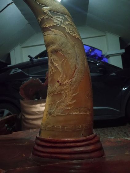 เขาเผือกทองแกะสลักมังกรฐานไม้สัก1 คู่ขนาดใหญ่สภาพเยี่ยม รูปที่ 6