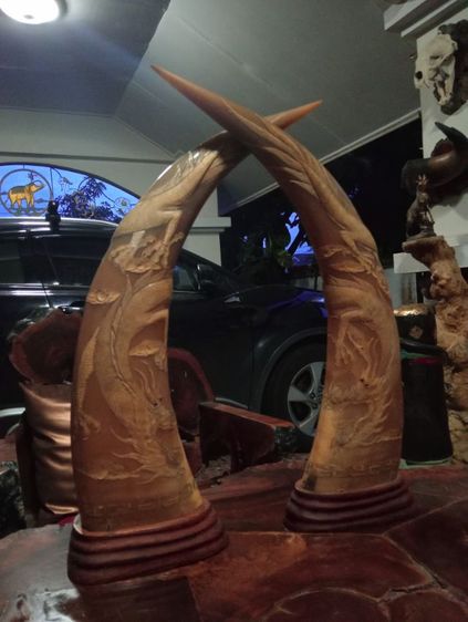 เขาเผือกทองแกะสลักมังกรฐานไม้สัก1 คู่ขนาดใหญ่สภาพเยี่ยม รูปที่ 12