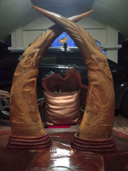 เขาเผือกทองแกะสลักมังกรฐานไม้สัก1 คู่ขนาดใหญ่สภาพเยี่ยม รูปที่ 11