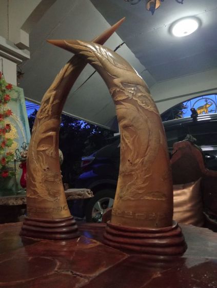 เขาเผือกทองแกะสลักมังกรฐานไม้สัก1 คู่ขนาดใหญ่สภาพเยี่ยม รูปที่ 9