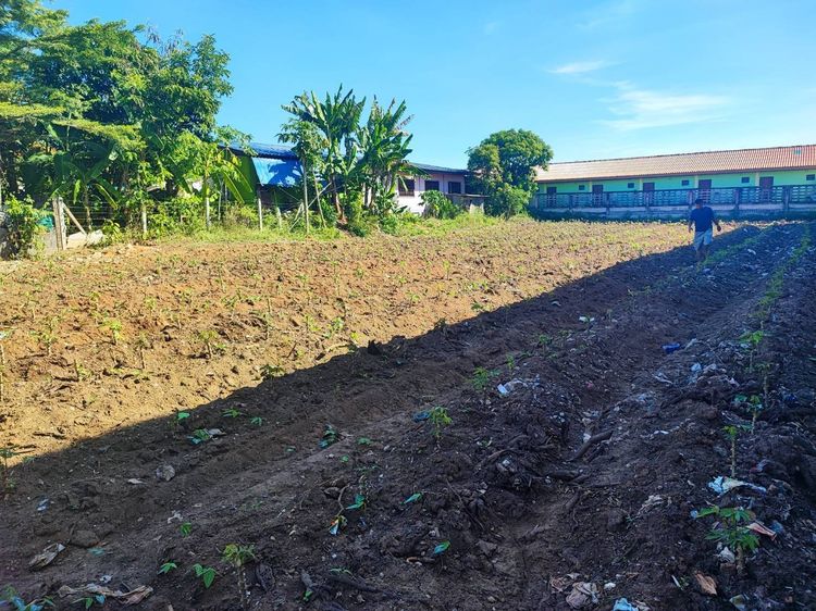 ขายด่วน ที่ดินถมแล้ว 3 งาน มีรั้ว 3 ด้าน หลังเครือสหพัฒน์ กบินทร์บุรี จ.ปราจีนบุรี (เจ้าของขายเอง)