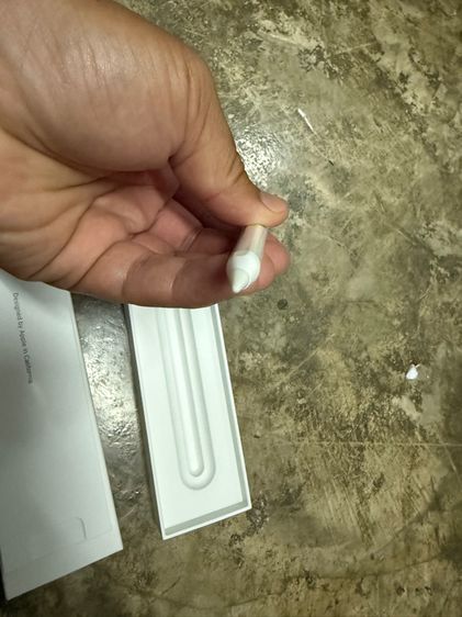 Apple Pencil 2 รูปที่ 8