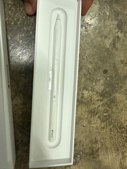 Apple Pencil 2 รูปที่ 6