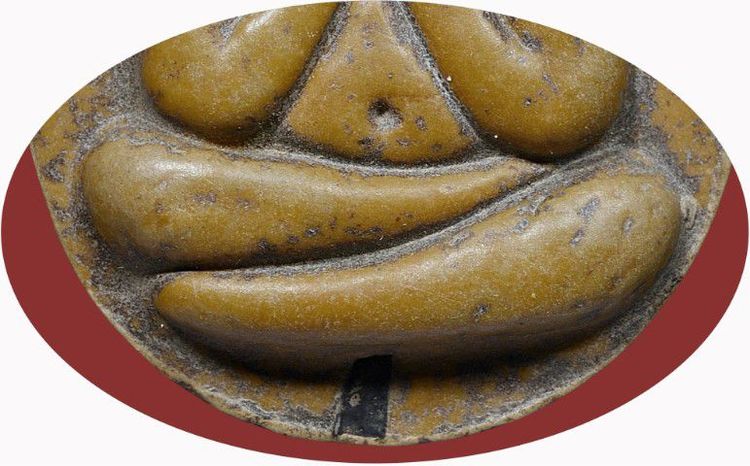 สวยงาม🔆พระปิดตาจัมโบ้ 1 รุ่นแรก หลวงปู่โต๊ะ วัดประดู่ฉิมพลี ปี 2520 เก่า รูปที่ 7