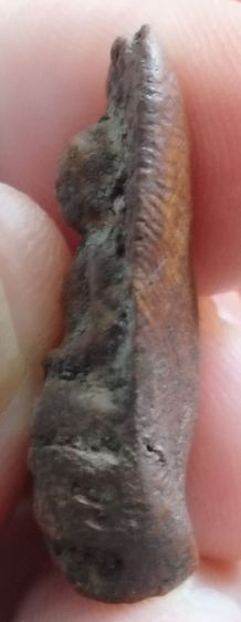 พระเบญจภาคีครบชุด5องค์ สวยเเชมป์โลก ชุดที่1 รูปที่ 18