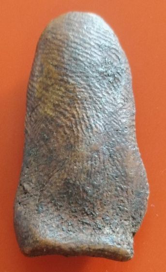 พระเบญจภาคีครบชุด5องค์ สวยเเชมป์โลก ชุดที่1 รูปที่ 17