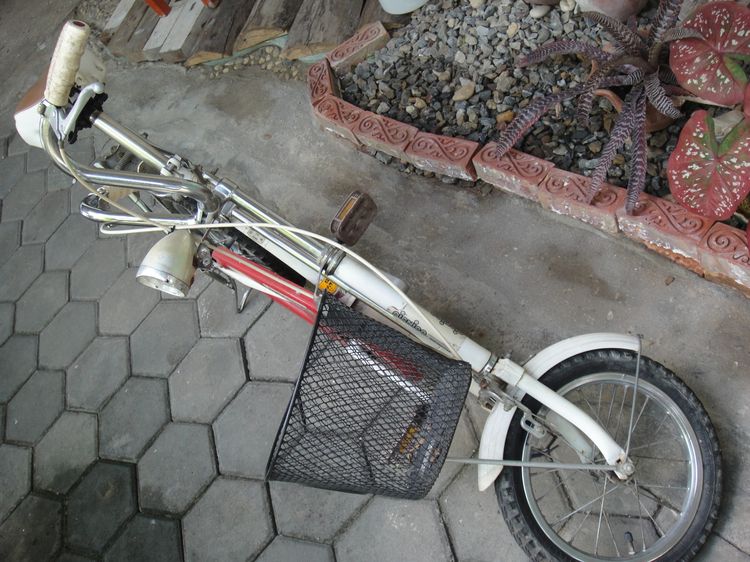 บริสโตน พินิก้า วันทัส ล้อ 14 นิ้ว  รูปที่ 10