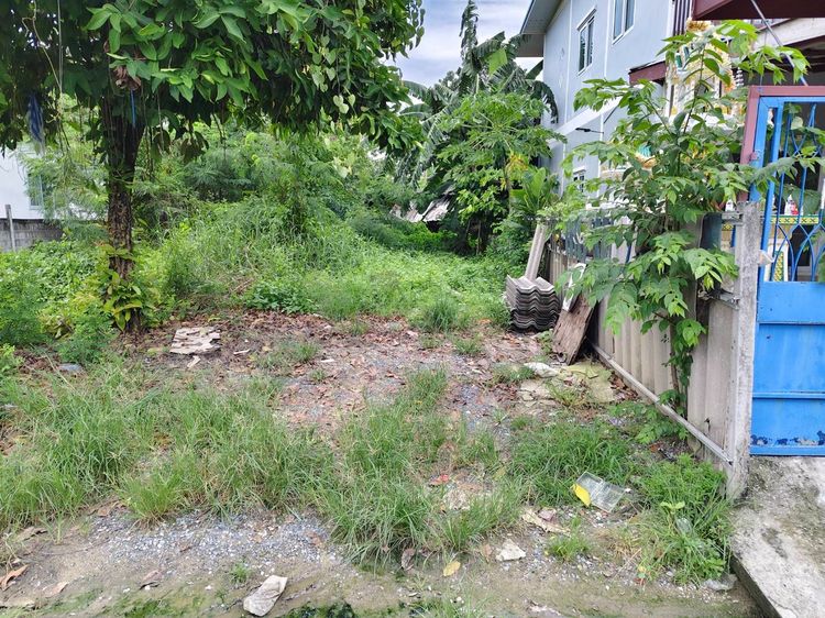 ขายที่ดิน 35.6 ตร.วา ซอยมิตรไมตรี12.2 เคหะหนองจอก ถมแล้ว ทางสาธารณะ  คู้ฝั่งเหนือ หนองจอก กรุงเทพ รูปที่ 4