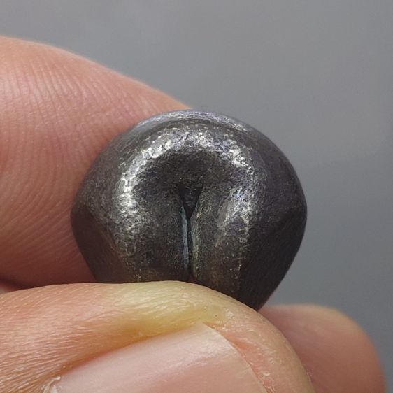 พดด้วง ขนาด 1 บาท ตราพระซ่อมดอกไม้-จักร สมัยอยุธยา พุทธศตวรรษที่ 19 - 24 ตรานิยม หายาก สภาพสวย รูปที่ 5