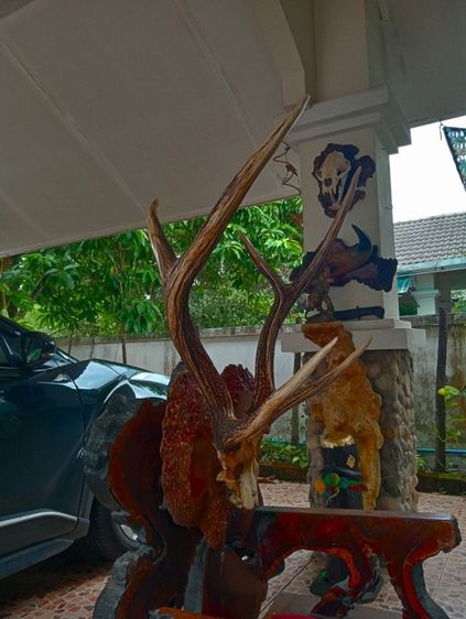 แท้ใหญ่ยักษ์บนปุ่มไม้สักตกงานสภาพเยี่ยม รูปที่ 10