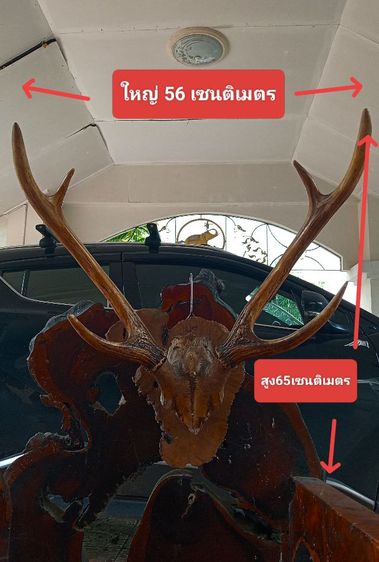 ของแต่งบ้านแท้บนปุ่มไม้แท้..แขวนโชว์ได้เลย รูปที่ 2