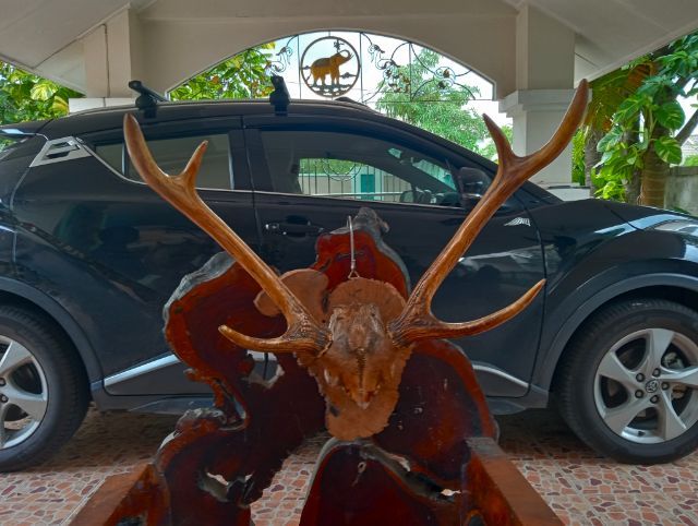 ของแต่งบ้านแท้บนปุ่มไม้แท้..แขวนโชว์ได้เลย รูปที่ 10