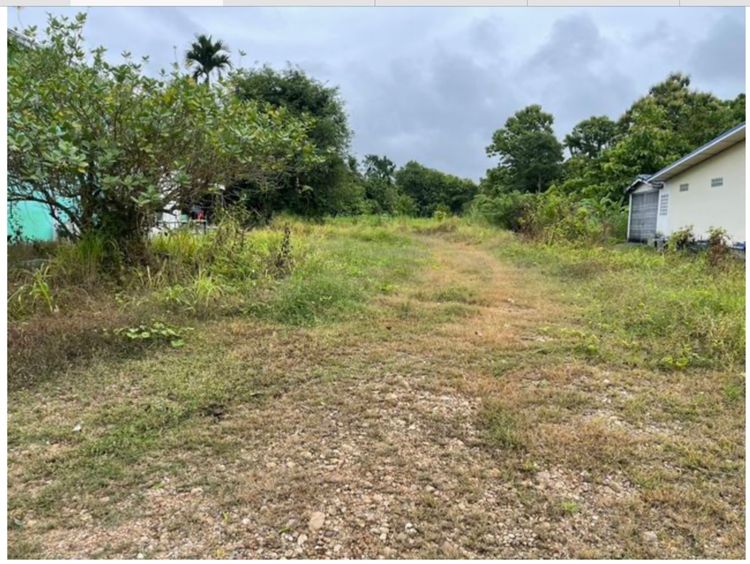 ขายที่ดินติดถนนใหญ่ 4เลน สายกาญจนบุรี-ทองผาภูมิ มีโฉนด เจ้าของขายเอง รูปที่ 4