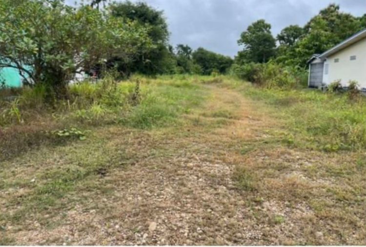 ขายที่ดินติดถนนใหญ่ 4เลน สายกาญจนบุรี-ทองผาภูมิ มีโฉนด เจ้าของขายเอง รูปที่ 3