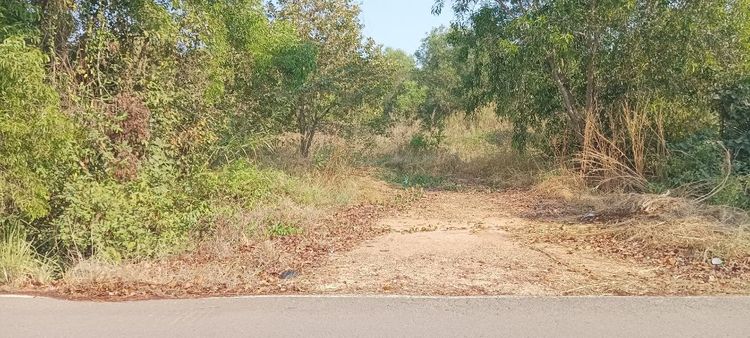 ขายที่ดิน4ไร่ หลังห้างคอมเพล็กซ์ 