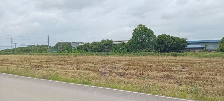 ขายที่ดิน5ไร่382ตรว ติดถนน365 รูปที่ 4