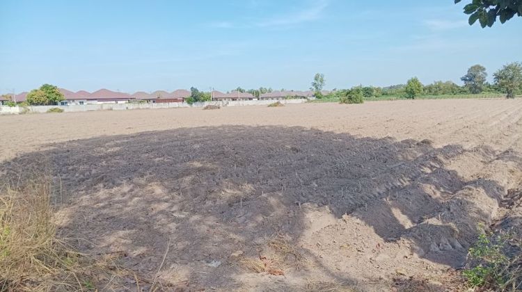 ขายที่ดิน24ไร่160ตรว ติดถนน3015  รูปที่ 4