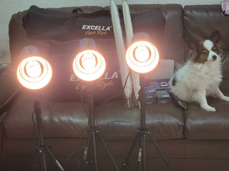 ชุดไฟสตูดิโอ Excella Carlo 350 พร้อมขาตั้ง+ร่ม+Trigger ครบชุด สภาพใหม่ใช้งานน้อยมาก รูปที่ 3