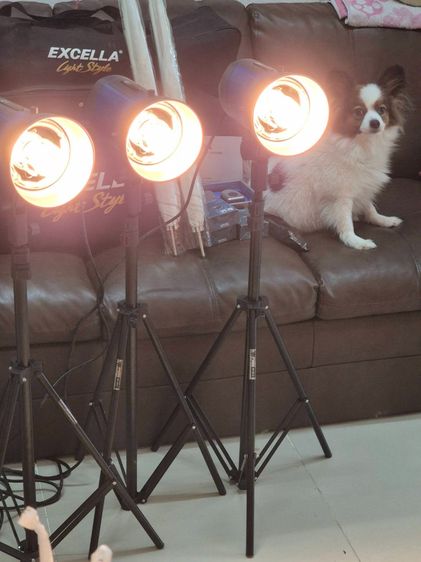 ชุดไฟสตูดิโอ Excella Carlo 350 พร้อมขาตั้ง+ร่ม+Trigger ครบชุด สภาพใหม่ใช้งานน้อยมาก รูปที่ 2