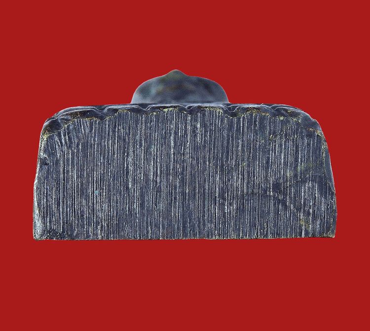 พระนิรันตราย - สวยงาม ∆ ให้เช่าบูชา (มรดกบ้าน) พระหลวงปู่ทวด วัดช้างให้ ปี 05 พิมพ์หลังหนังสือ ว จุด หน้าหนูหูกาง หายาก รูปที่ 6