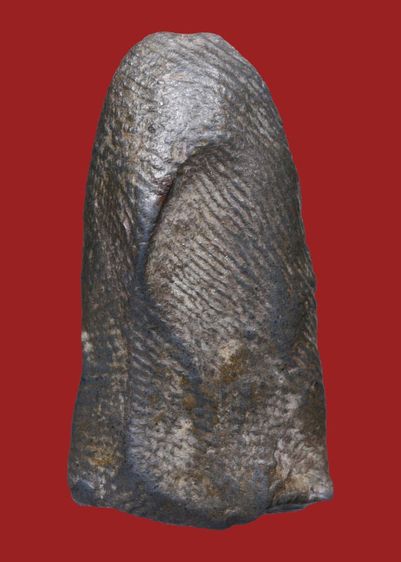 ♦♦♦ เนื้อดำ หายาก พระรอด วัดมหาวัน จ.ลำพูน  พิมพ์คมชัด สวยสมบูรณ์ รูปที่ 3