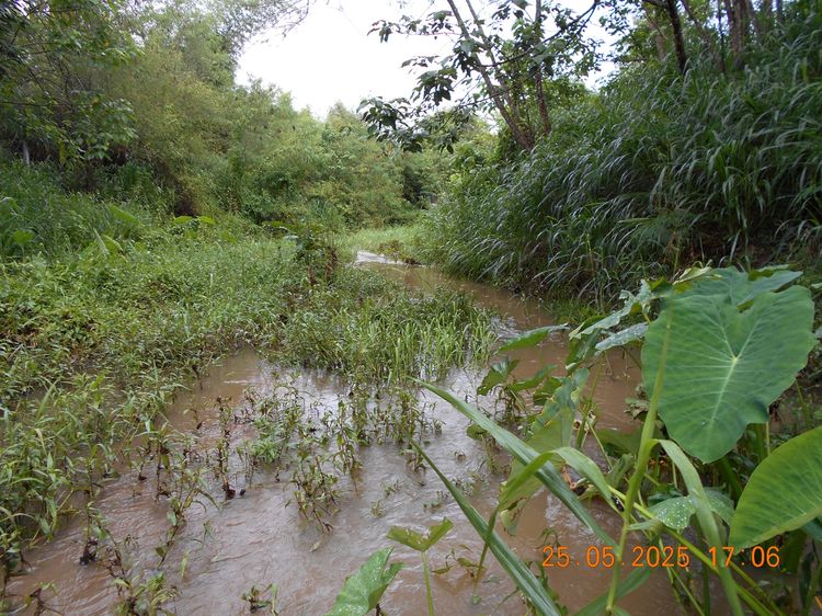 ขายที่ดิน 10 ไร่ พร้อมบ้าน ติดลำห้วย ต.บ้านบึง อ.บ้านคา จ.ราชบุรี