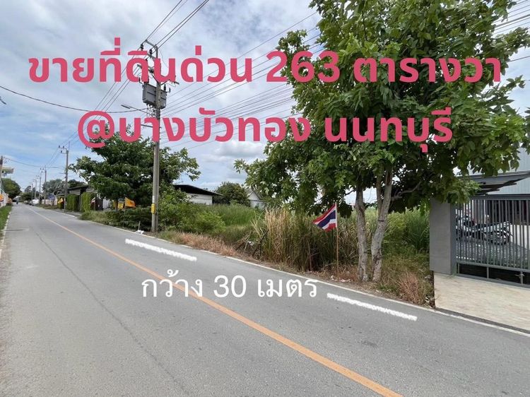 ขายที่ดินสวย 263 ตารางวา ผังสีเหลือง ทำเลดี‼️ ถนนบ้านกล้วย-ไทรน้อย เข้าซอยวัดพูนพิมลราช เพียง 200 เมตร บางบัวทอง นนทบุรี เข้า-ออกได้หลายทาง
