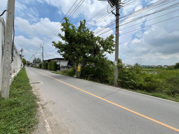 ขายที่ดินสวย 263 ตารางวา ผังสีเหลือง ทำเลดี‼️ ถนนบ้านกล้วย-ไทรน้อย เข้าซอยวัดพูนพิมลราช เพียง 200 เมตร บางบัวทอง นนทบุรี เข้า-ออกได้หลายทาง รูปที่ 3