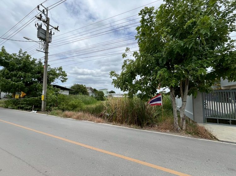 ขายที่ดินสวย 263 ตารางวา ผังสีเหลือง ทำเลดี‼️ ถนนบ้านกล้วย-ไทรน้อย เข้าซอยวัดพูนพิมลราช เพียง 200 เมตร บางบัวทอง นนทบุรี เข้า-ออกได้หลายทาง รูปที่ 4