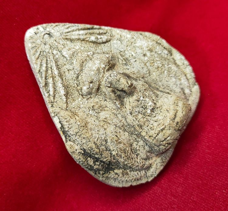 💟 พระสมเด็จกรุวังหน้า สมเด็จพระพุฒาจารย์ (โต) รูปที่ 3