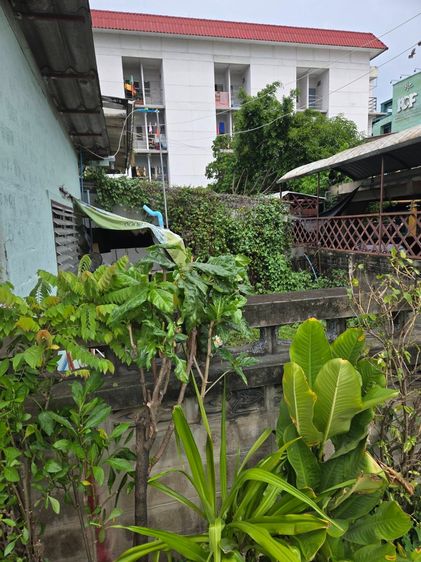 ขายที่ดิน 32.5 ตรว. ซอยงามวงศ์วาน 25 ติดถนน ทำเลดี ขายถูก รูปที่ 2