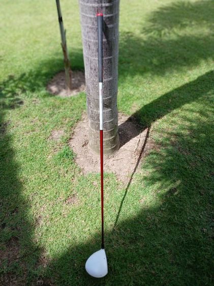 Driver TM R11 white ขาวมุก
Loft : 9.5 
Shaft : Montore Fujikura 50g flex S ดีด นุ่มๆ
L : 45.5"
SW : D2
Grip:golf pride สภาพดี
Cover R11S แท้ รูปที่ 3