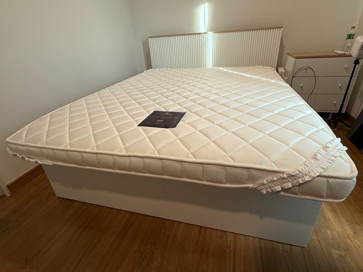 ที่นอนยางพารายี่ห้อ lotus  รูปที่ 2